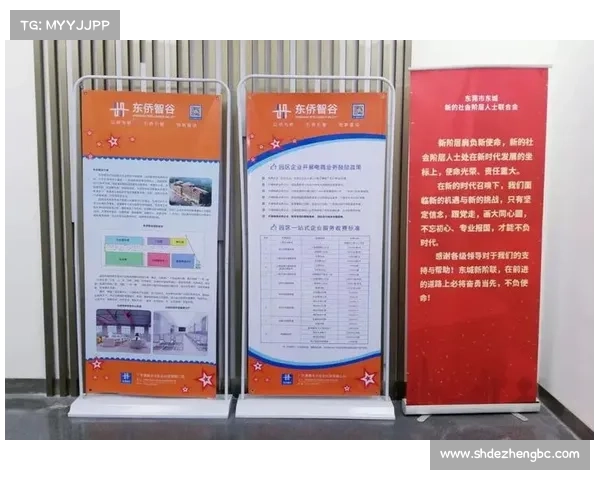 全面解析AFP赛事积分奖励制度指导选手如何积累积分赢取丰厚回报实现目标